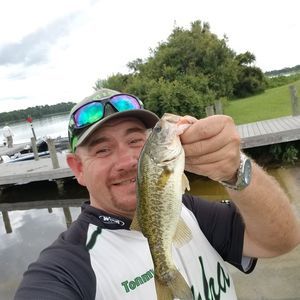 Meet your Posher, Tommy